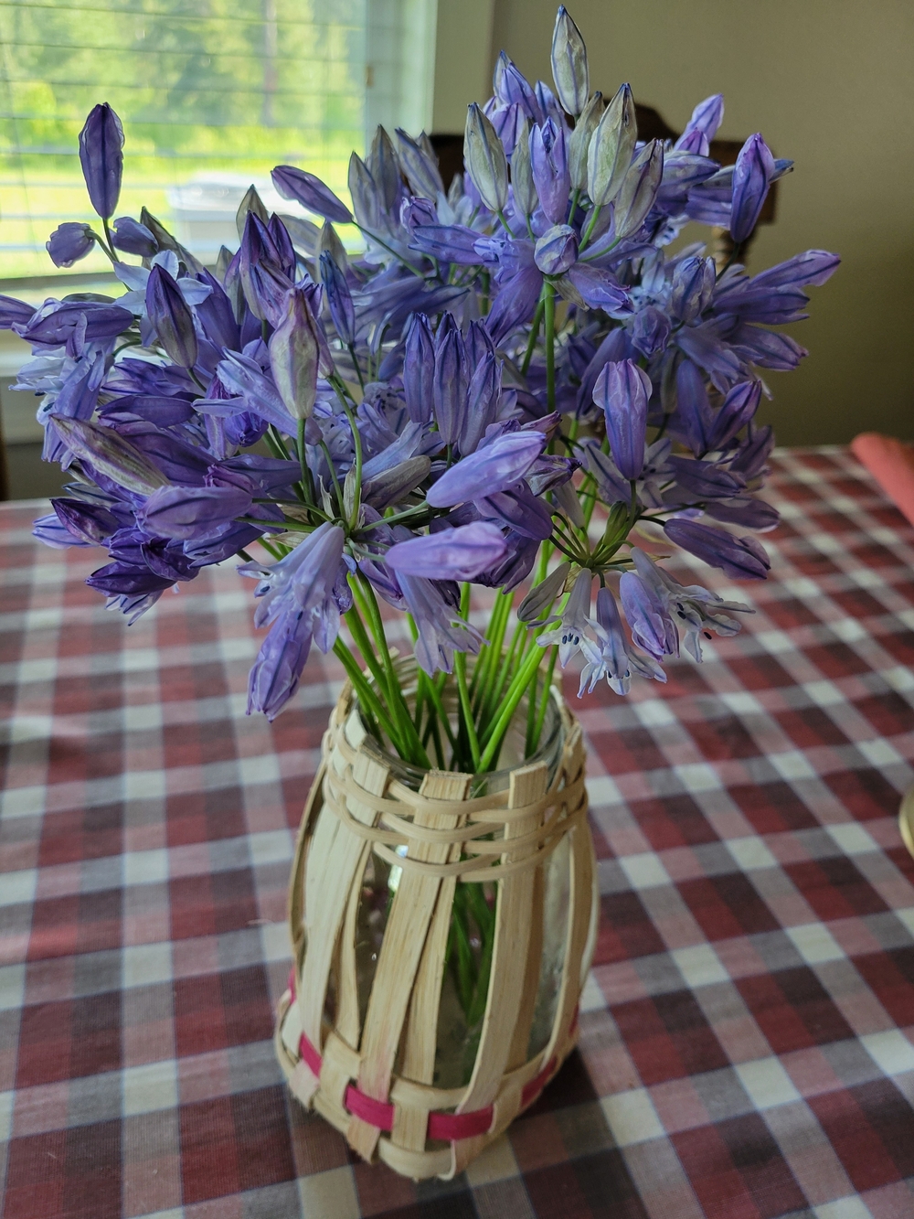 Handwoven Reed Basket Flower Vase -Quart Glass Jar Vase